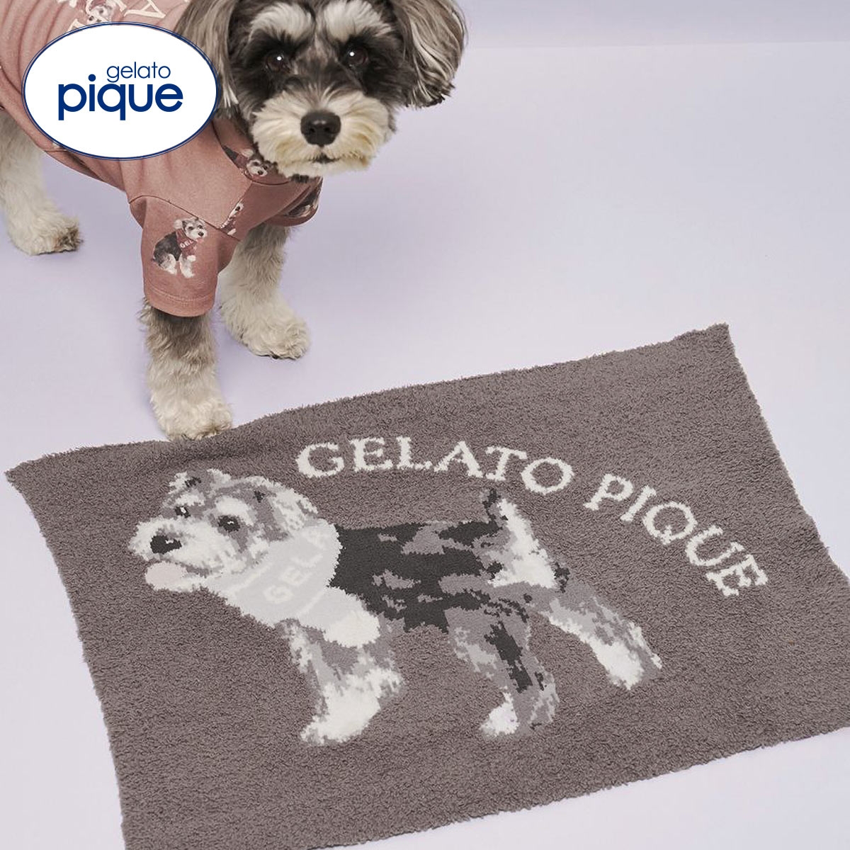 ジェラートピケ CAT&DOG ベビモコシュナウザー柄ブランケット ジェラピケ gelato pique(CGY-チャコールグレー-Free)