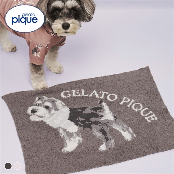 ジェラートピケ CAT&DOG ベビモコシュナウザー柄ブランケット ジェラピケ gelato pique