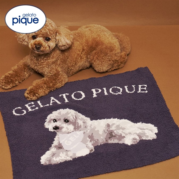 ジェラートピケ CAT&DOG ベビモコトイプードル柄ブランケット ジェラピケ gelato pique