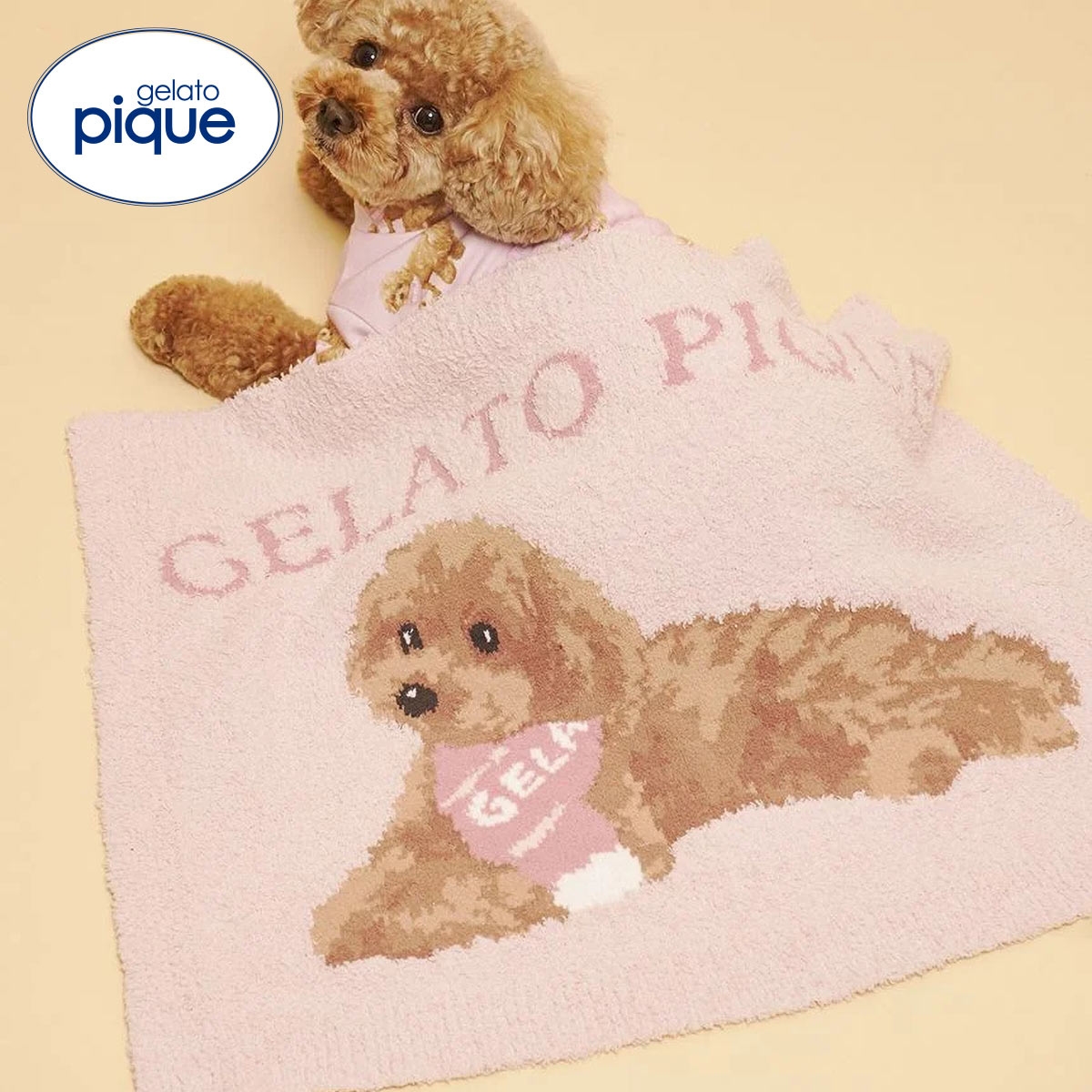 ジェラートピケ CAT&DOG ベビモコトイプードル柄ブランケット ジェラピケ gelato pique(PI-ピンク-Free)