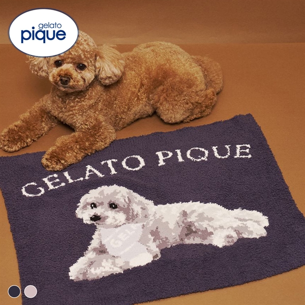 ジェラートピケ CAT&DOG ベビモコトイプードル柄ブランケット ジェラピケ gelato pique