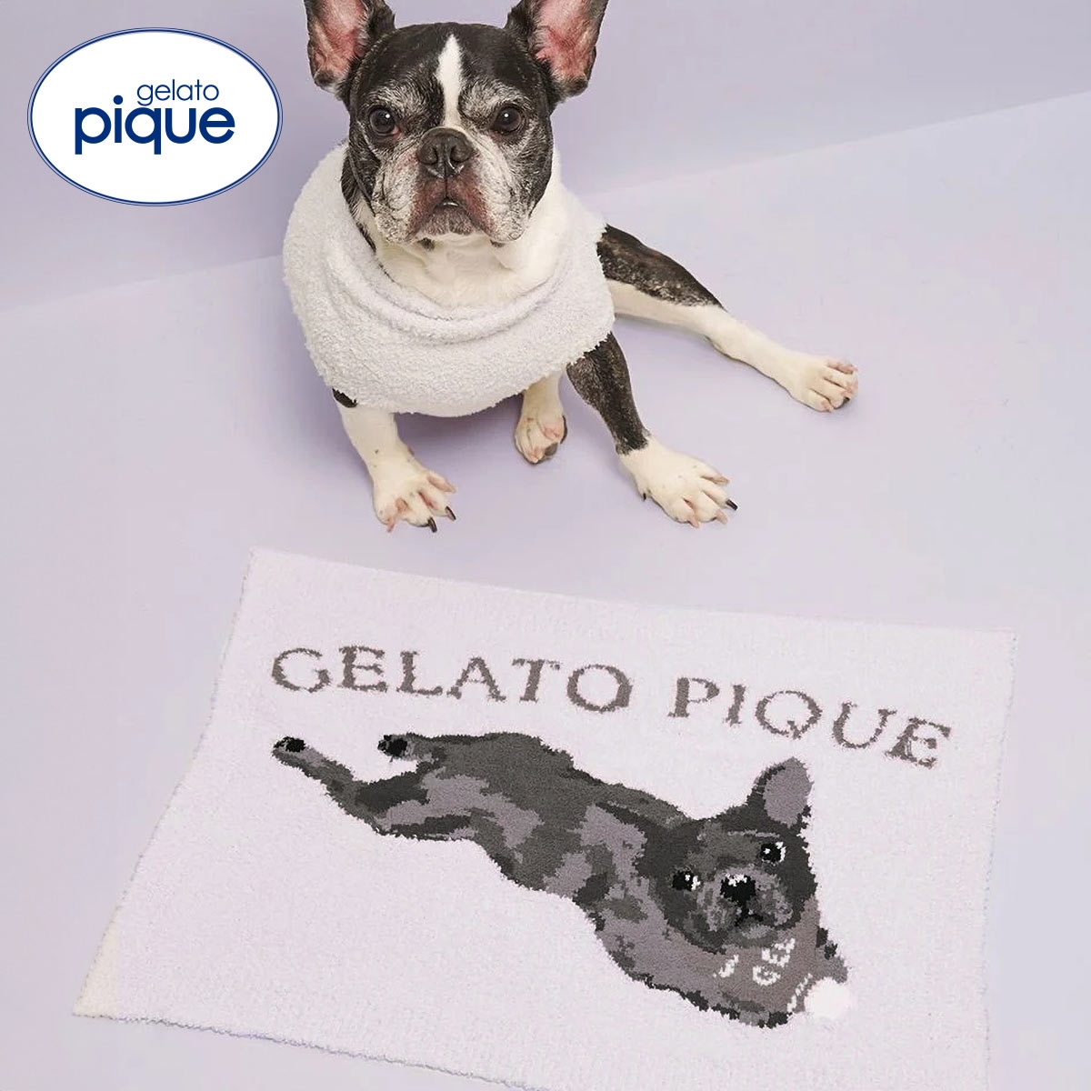 ジェラートピケ CAT&DOG ベビモコフレンチブルドッグ柄ブランケット ジェラピケ gelato pique(LGY-薄グレー-Free)