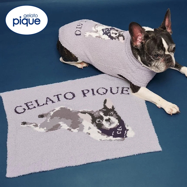 ジェラートピケ CAT&DOG ベビモコフレンチブルドッグ柄ブランケット ジェラピケ gelato pique