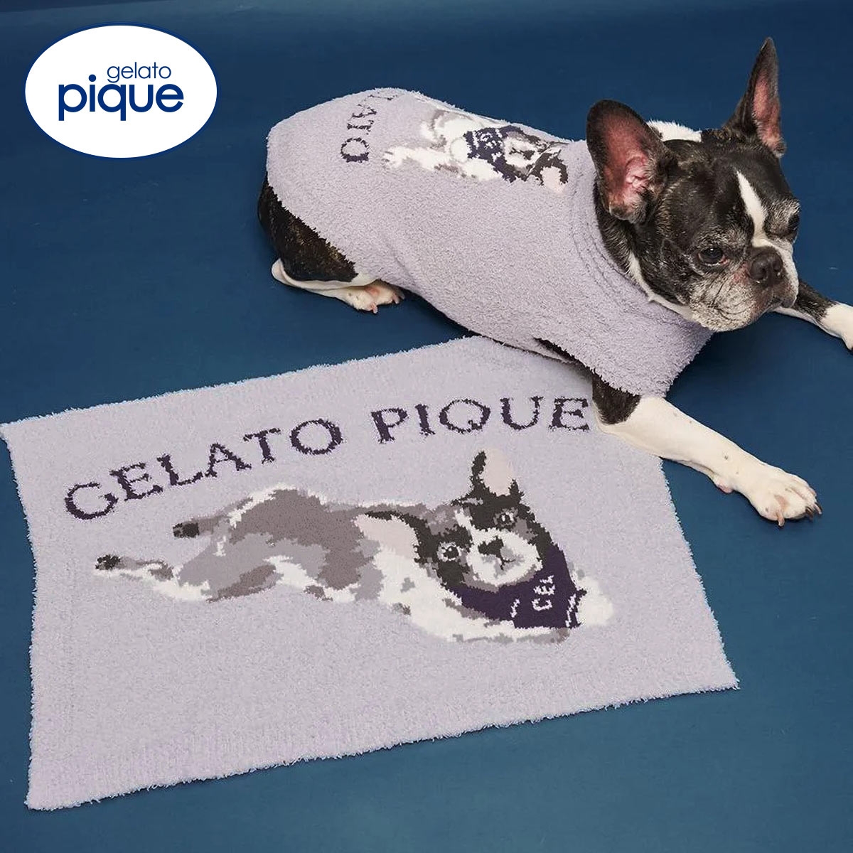 ジェラートピケ CAT&DOG ベビモコフレンチブルドッグ柄ブランケット ジェラピケ gelato pique(BU-ブルー-Free)