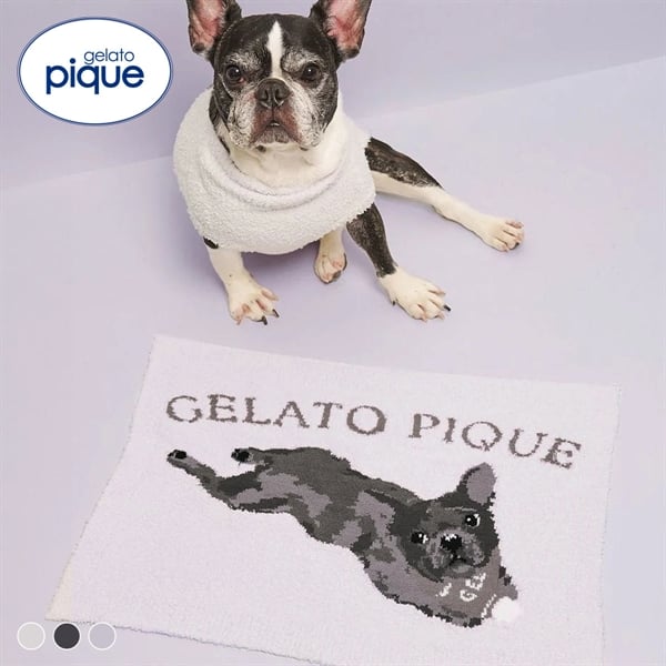ジェラートピケ CAT&DOG ベビモコフレンチブルドッグ柄ブランケット ジェラピケ gelato pique