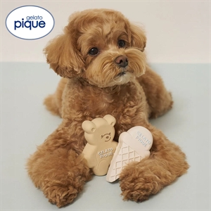 ジェラートピケ CAT&DOG アイスクリーム＆ベア ラテックストイセット BOX付き ジェラピケ gelato pique