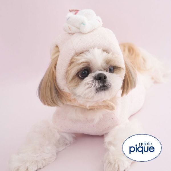 ジェラートピケ CAT&DOG Birthday カップケーキハット ジェラピケ gelato pique