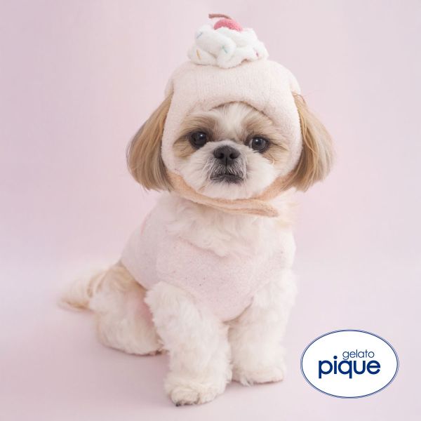 ジェラートピケ CAT&DOG Birthday カップケーキハット ジェラピケ gelato pique