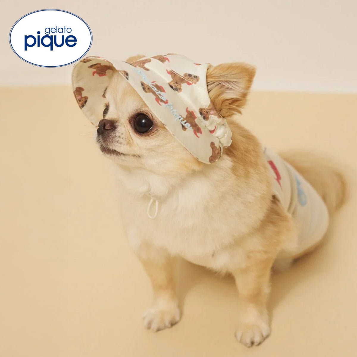 ジェラートピケ CAT&DOG サマーベア柄ハット ジェラピケ gelato pique(IV-アイボリー-S)