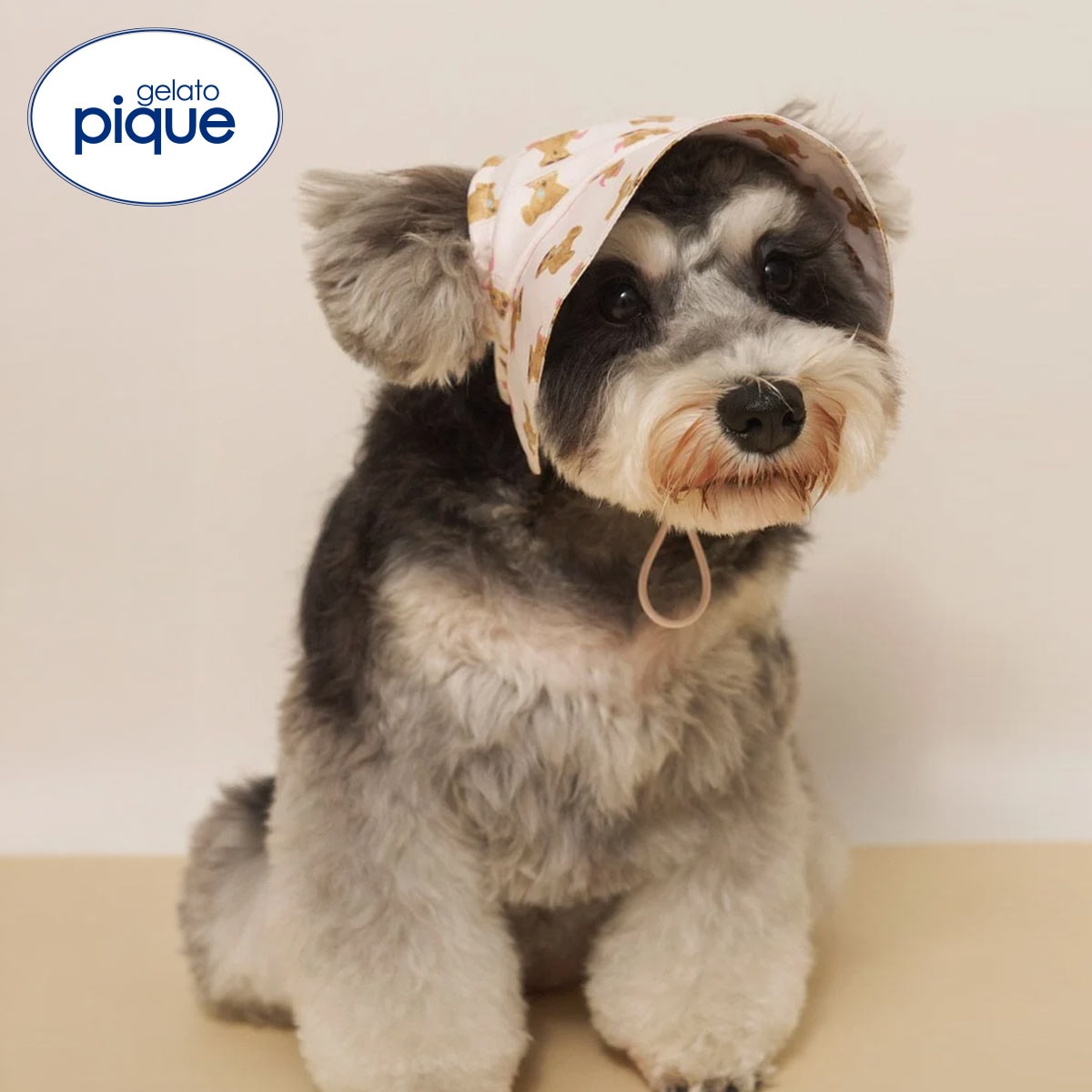 ジェラートピケ CAT&DOG サマーベア柄ハット ジェラピケ gelato pique(PI-ピンク-S)