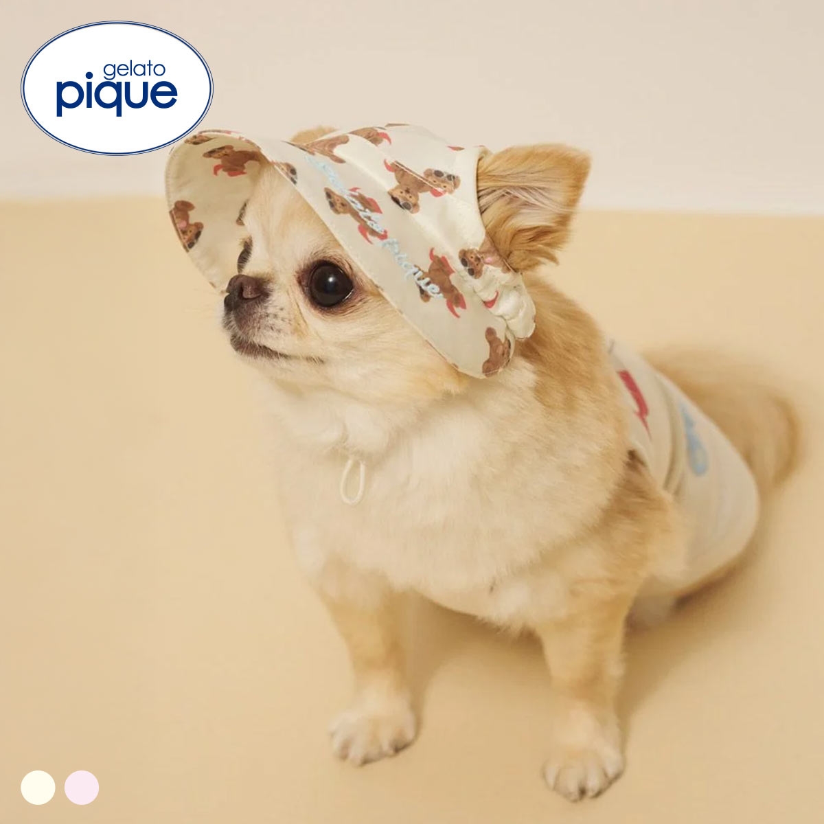 ジェラートピケ CAT&DOG サマーベア柄ハット ジェラピケ gelato pique