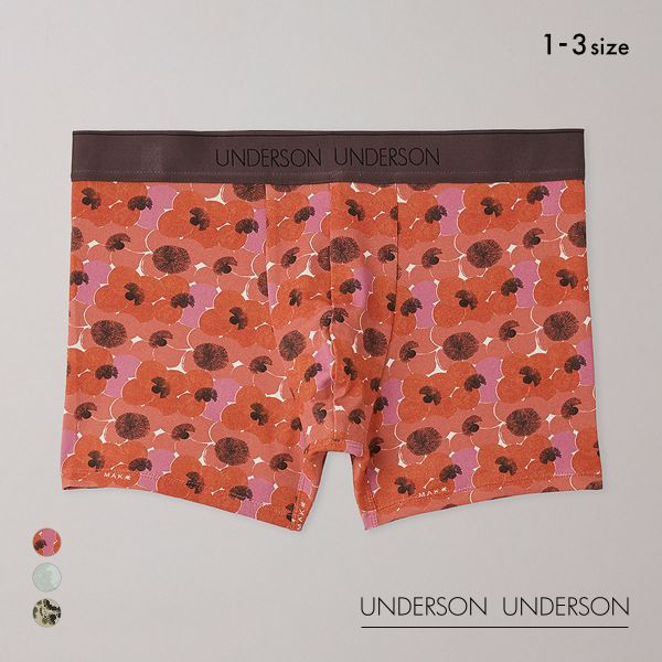 アンダーソンアンダーソン L.Rix Fantasy上野リチ×UNDERSON UNDERSON ショートボクサー メンズ 前とじ