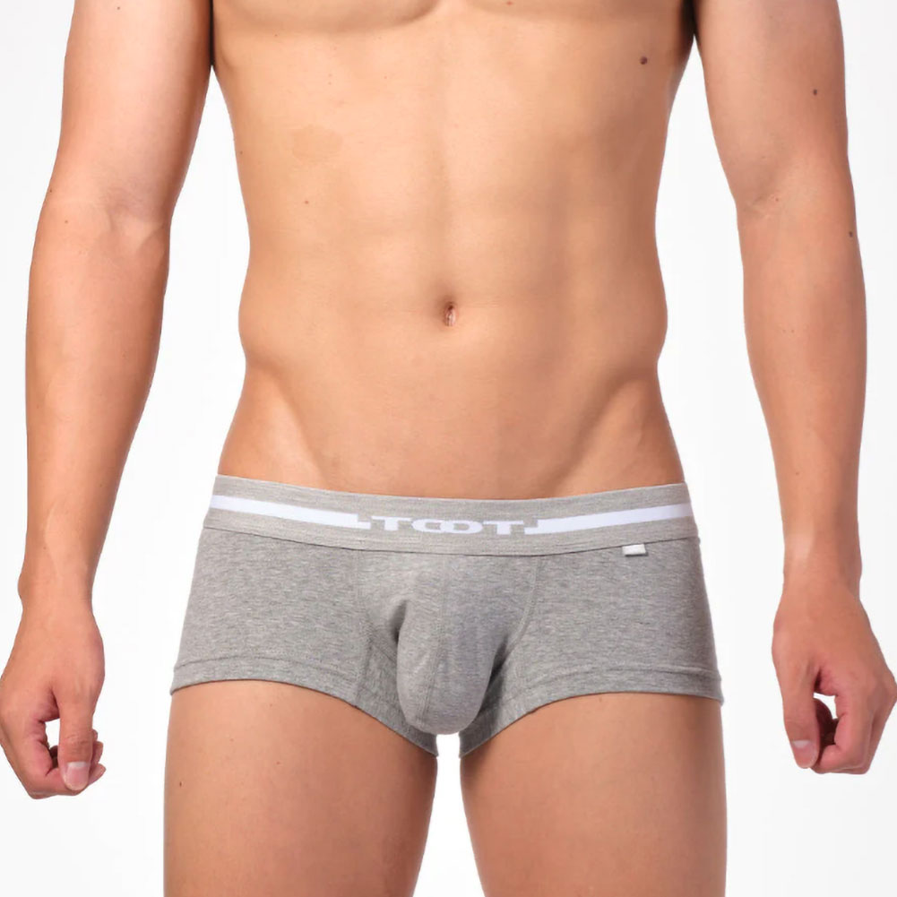 トゥート TOOT ORIGIN BASIC nano BOXER ナノボクサー ボクサーパンツ 前とじ BC23A010 S M L LL XL メンズ ローライズ ベーシック(GY-グレー-S)
