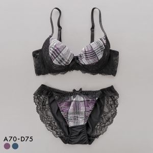 サンエイ 脇高 グロッシーチェック ブラセット ABCD 脇肉 はみ肉すっきり 脇寄せ 着やせ ブラジャー ショーツ セット SANEI