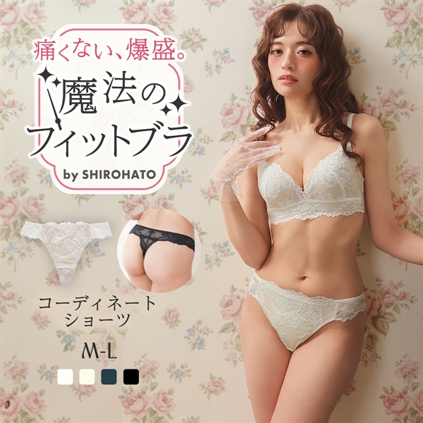 魔法のフィットブラ Tバックショーツ レディース 女性 下着 レース Tバック ハイウエスト 深め 深履き 大きいサイズ セクシー 可愛い パンツ