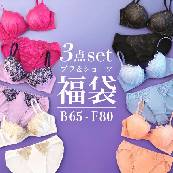 ブラジャー ショーツ セット 3点 福袋 エレガントタイプ おまかせ 刺繍レース
