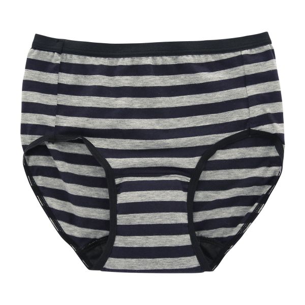 吸水サニタリーショーツ 生理用 フェムテック ボーダー 日本製 抗菌消臭 吸水量25CC ナプキン対応 単品