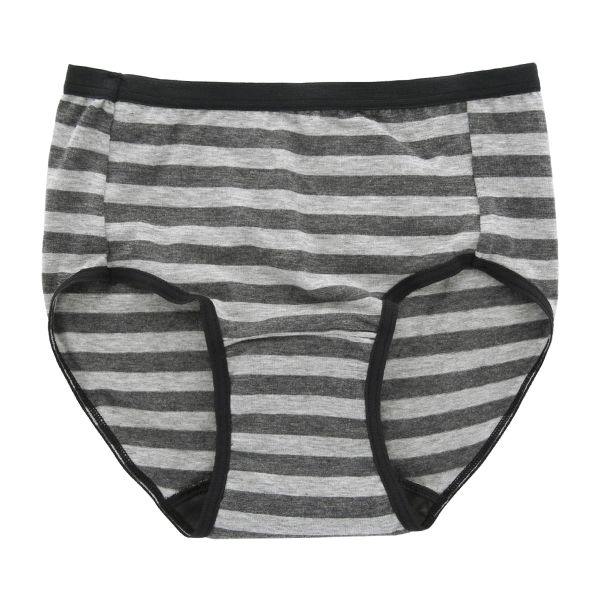 吸水サニタリーショーツ 生理用 フェムテック ボーダー 日本製 抗菌消臭 吸水量25CC ナプキン対応 単品