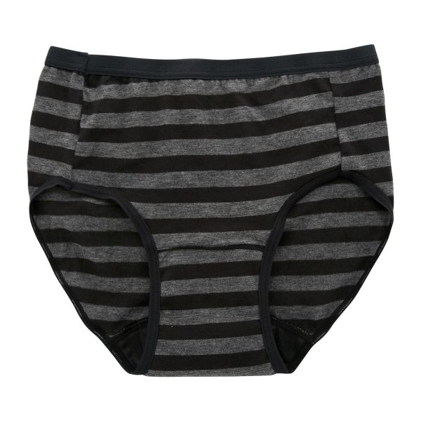 吸水サニタリーショーツ 生理用 フェムテック ボーダー 日本製 抗菌消臭 吸水量25CC ナプキン対応 単品