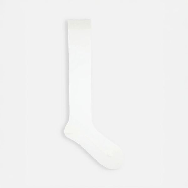 タビオ ストッキング感覚で履ける靴下 ハイソックス チュール シアー レディース 足底綿混 日本製 Tabio