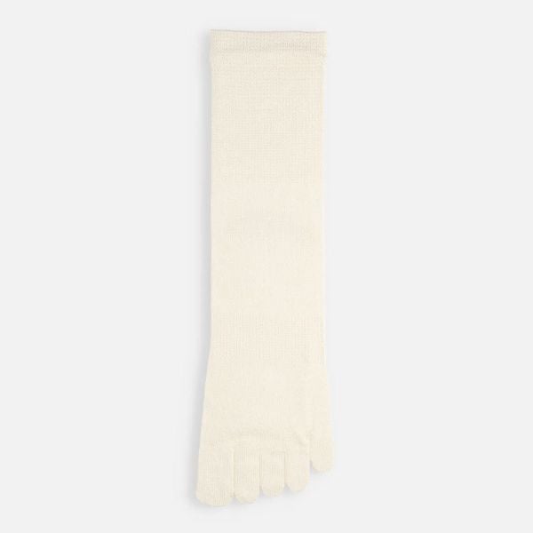 タビオ Tabio LEG LABO シルクの5本指ソックス 靴下 シルク混 吸放湿 大きいサイズ 24-26cm レディース 日本製