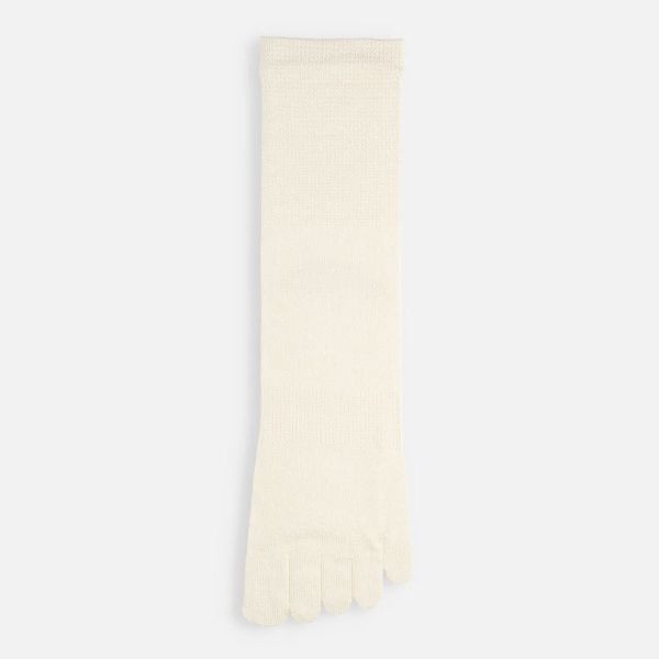 タビオ Tabio LEG LABO シルクの5本指ソックス 靴下 シルク混 吸放湿 大きいサイズ 24-26cm レディース 日本製