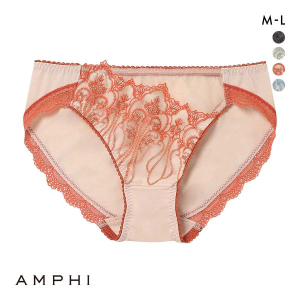 アンフィ ホールドデイブラ ペアショーツ ノーマル ML BYJ301シリーズ AMPHI Hold Day Bra