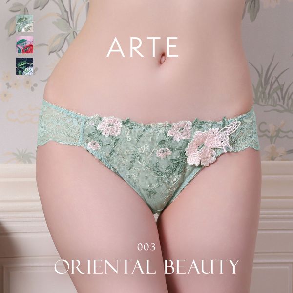 ARTE 003シリーズ ショーツ スタンダード M L バックレース ランジェリー