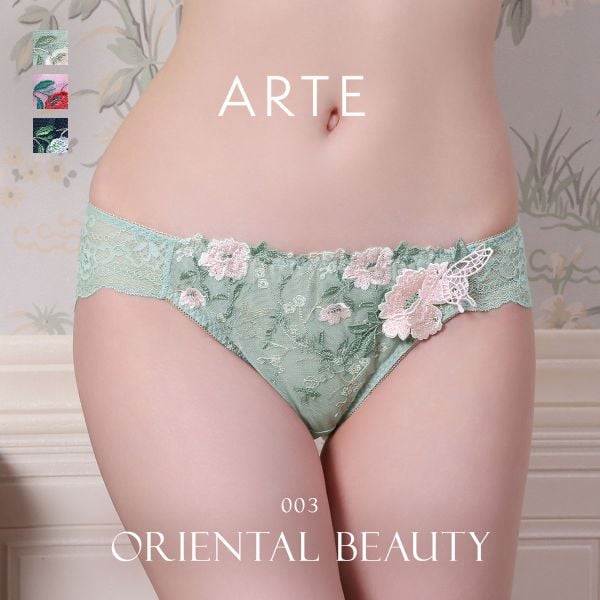ARTE 003シリーズ ショーツ スタンダード M L バックレース ランジェリー