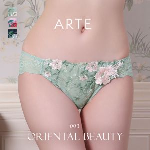 ARTE 003シリーズ ショーツ スタンダード M L バックレース ランジェリー