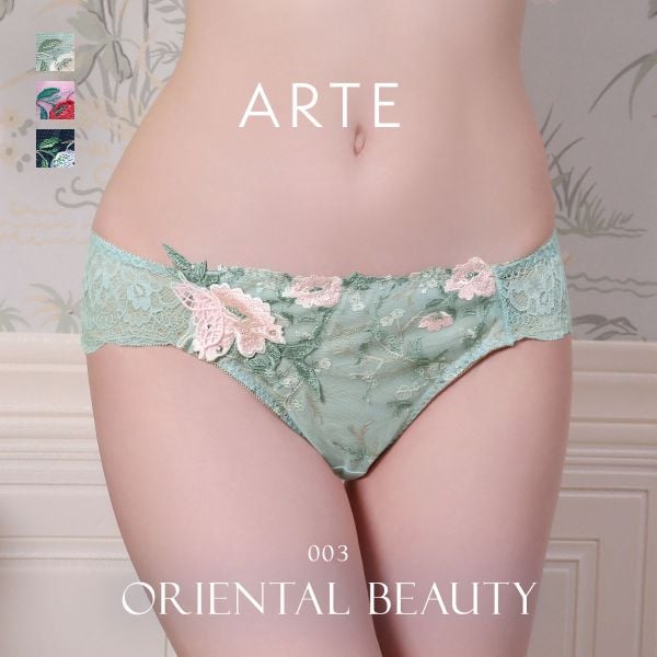 ARTE 003シリーズ ショーツ Tバック ソング タンガ M L ランジェリー