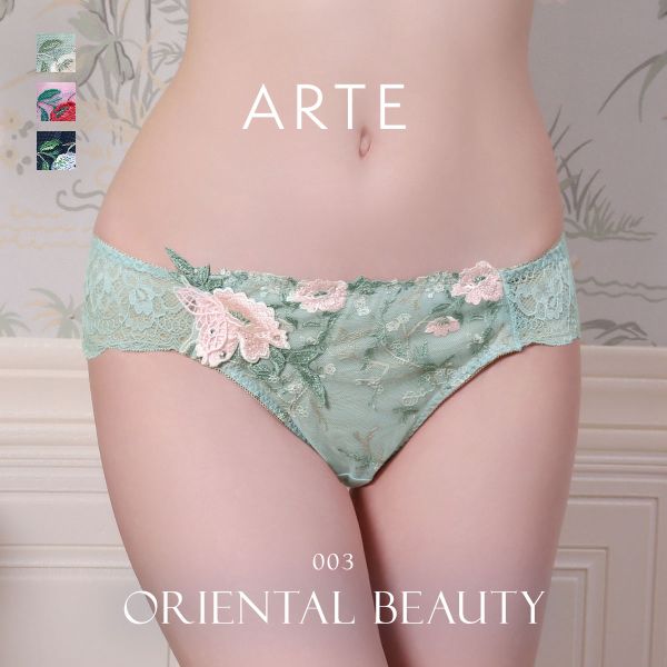 ARTE 003シリーズ ショーツ Tバック ソング タンガ M L ランジェリー