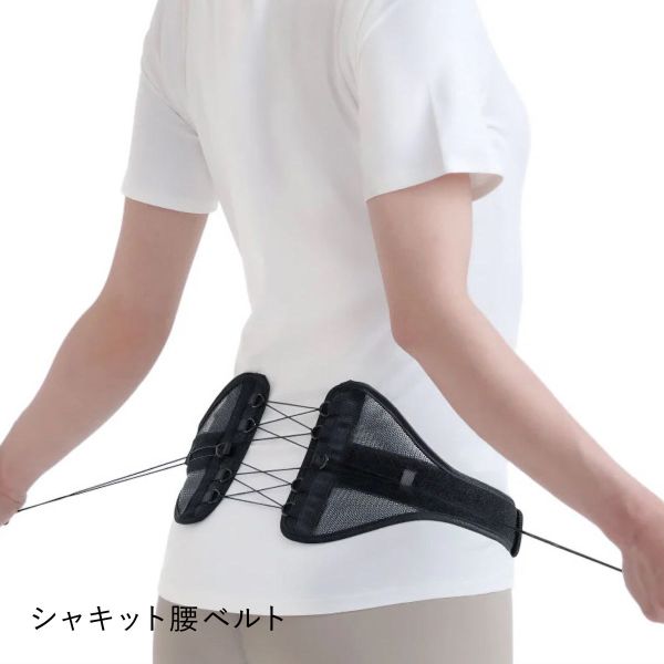 Dr.PRO シャキッと腰ベルト 引っ張る 腰用ベルト メッシュ 男女兼用 薄型 薄い 腰が楽 美姿勢
