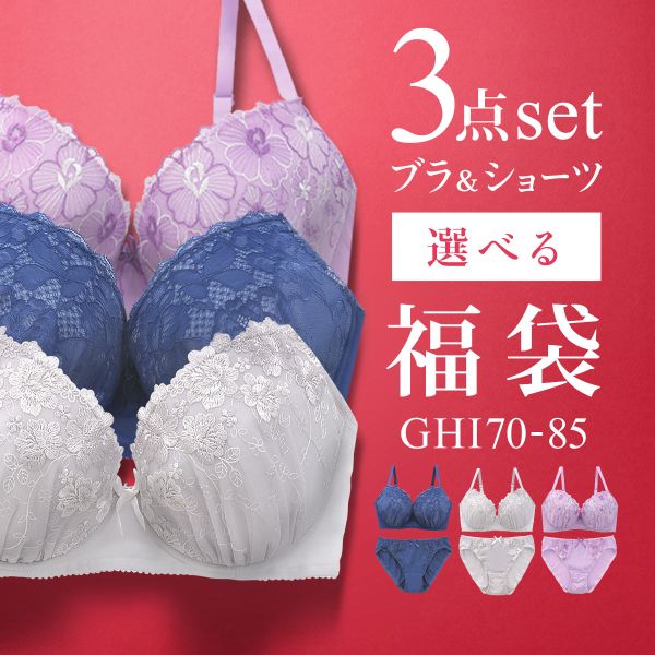 ブラジャー ショーツ セット 3点 中身が見える福袋 GHI 大きいサイズ グラマーサイズ