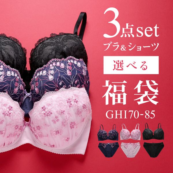 ブラジャー ショーツ セット 3点 中身が見える福袋 GHI 大きいサイズ グラマーサイズ