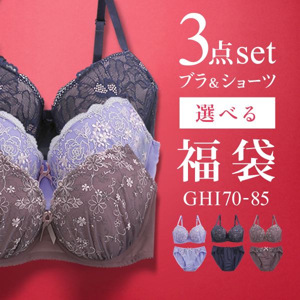 ブラジャー ショーツ セット 3点 中身が見える福袋 GHI 大きいサイズ グラマーサイズ ブラセット 下着 レディース
