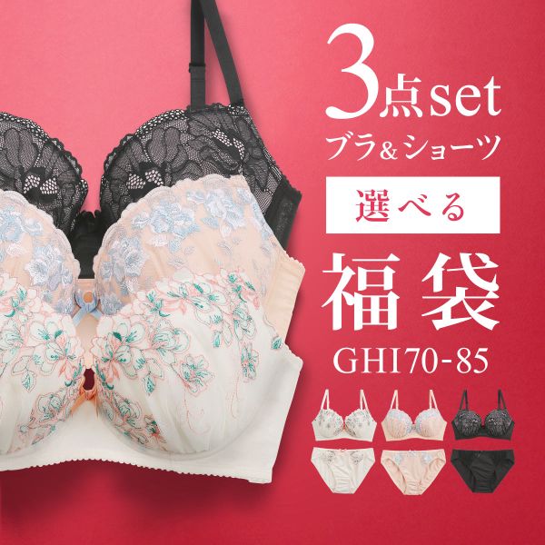 ブラジャー ショーツ セット 3点 中身が見える福袋 GHI 大きいサイズ グラマーサイズ