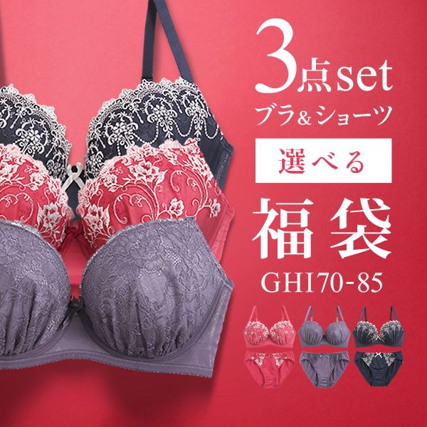 ブラジャー ショーツ セット 3点 中身が見える福袋 GHI 大きいサイズ グラマーサイズ