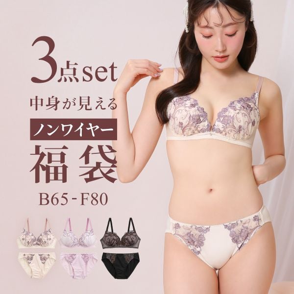選べる4タイプ ノンワイヤー ブラジャー ショーツ 3点セット 刺繍レース＆ワントーンレース 福袋 アンダー80 下着 レディース 大きいサイズ