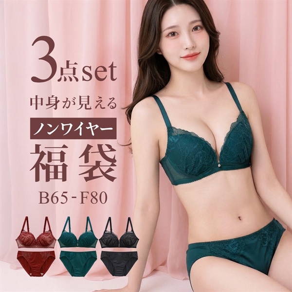 選べる6タイプ ノンワイヤー ブラジャー ショーツ 3点セット 刺繍レース＆ワントーンレース 福袋 アンダー80 下着 レディース 大きいサイズ