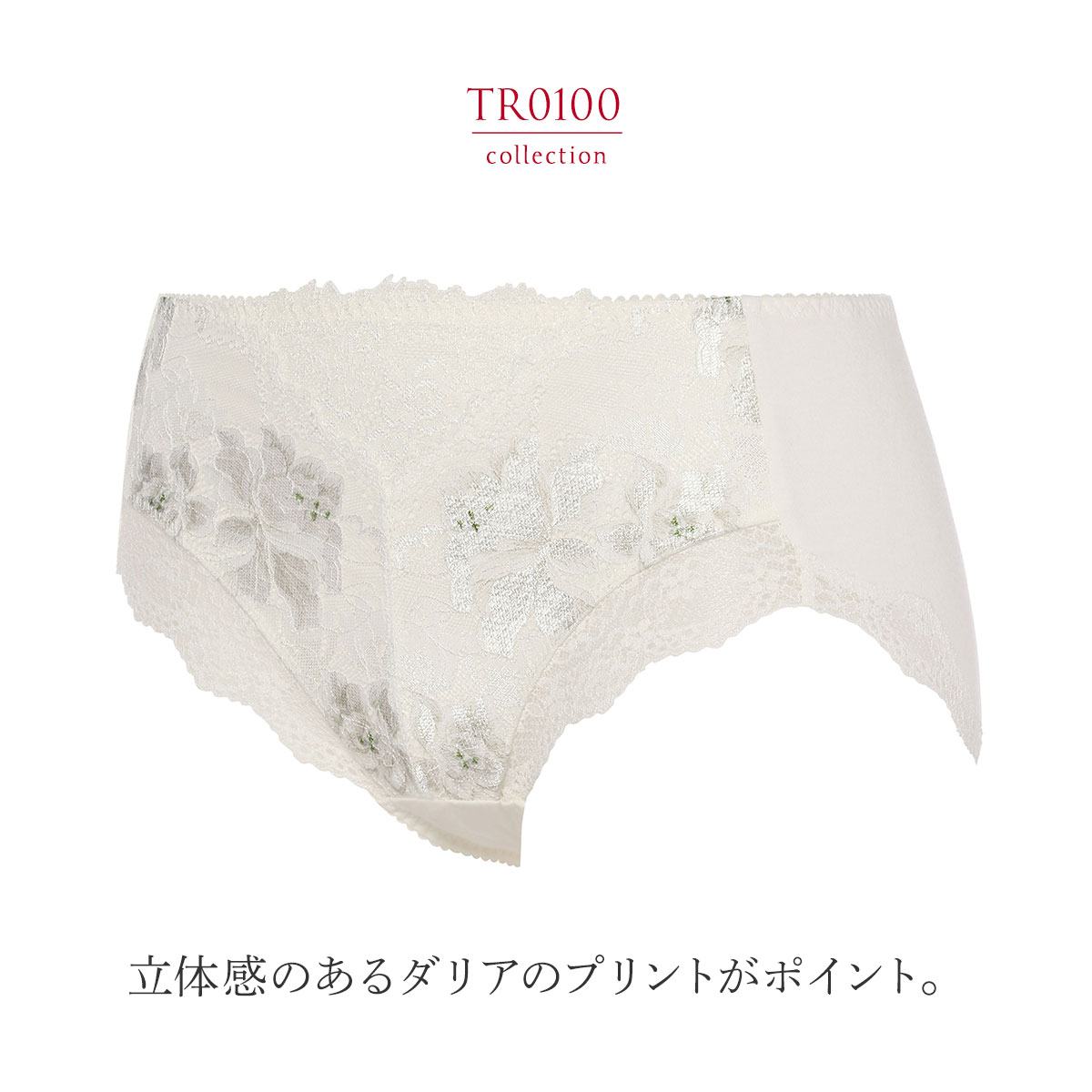 トリンプ Triumph TR0100 プレミアム レッドレーベル はきこみ