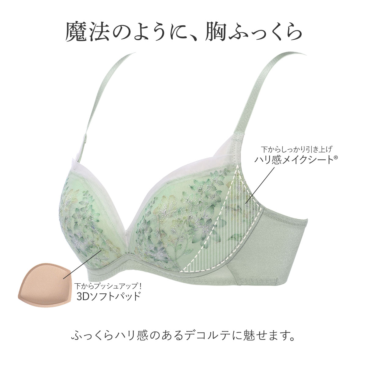 ワンダーランド どぬく 57枚 バラ売り不可 2025年最新】カラフルピーチ どぬく 缶バッジ ワンダーランドの