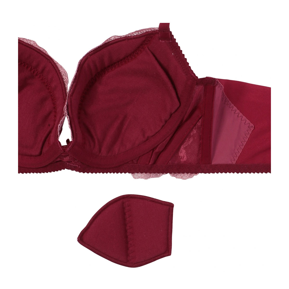 キマエラトリバネアゲハ♂♀ トリンプ TR0123 レッドレーベル バイ トリンプ ヨセアゲハ