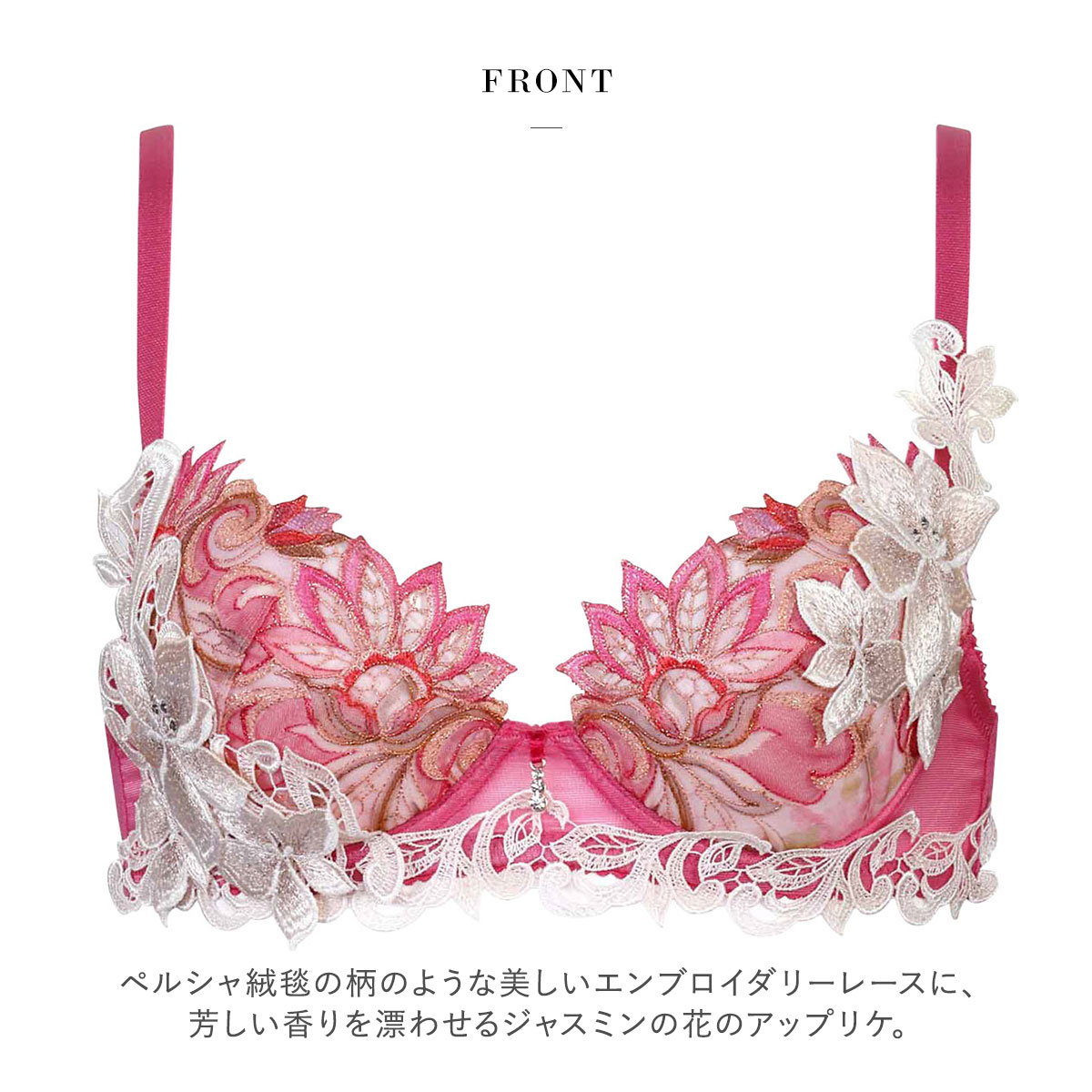 salute　サルート　12G 12グループ　F70 Ｍ BS P-UP salute サルート 12G 12グループ F70 ノーマル BS P-UP