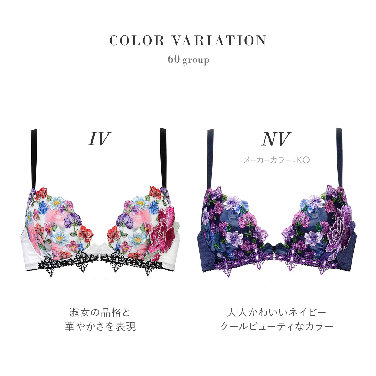 サルート　60 Group     E65    ブラ& Tショーツ サルート60 Group E65 ブラ& Tショーツ