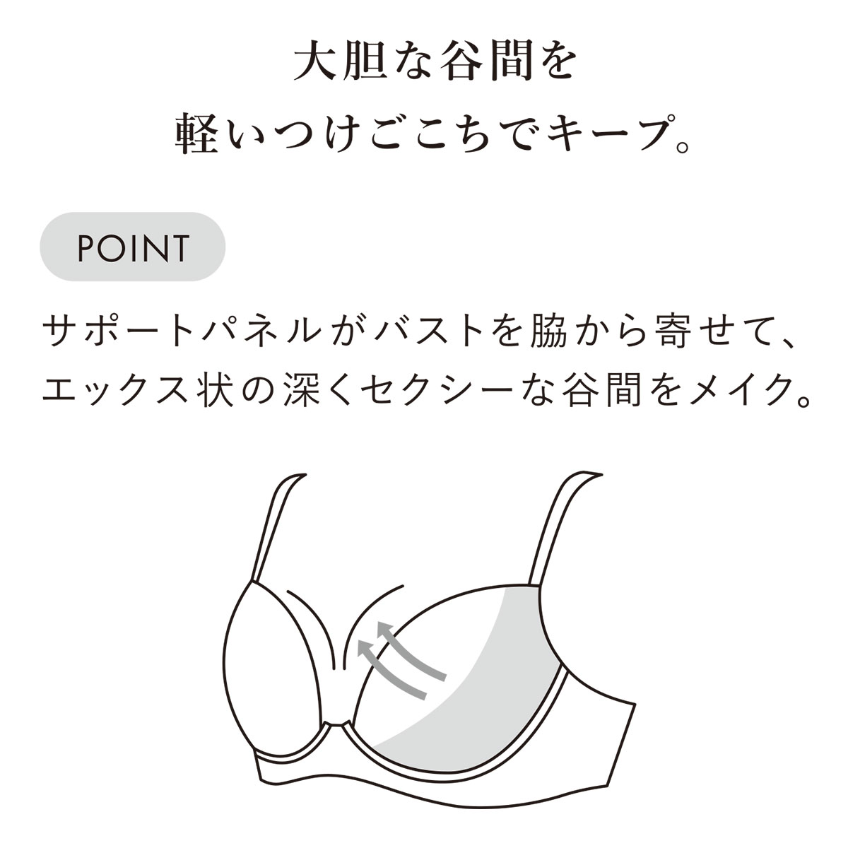 ワコール フロントエックスプラスブラ プレミアム 17series