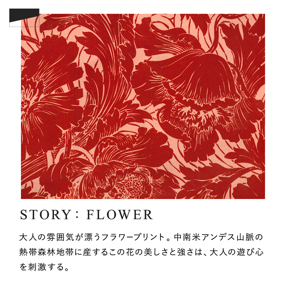Gravevault×SHIROHATO 別注 限定カラー FLOWER ボクサーパンツ サブ2