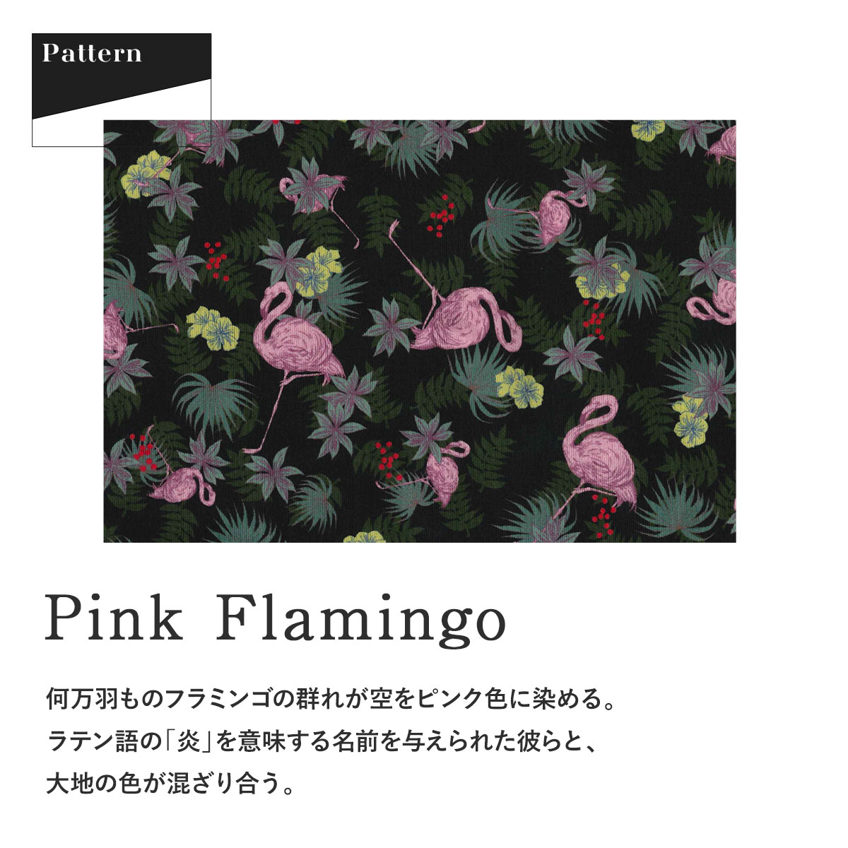 ☆フラミンゴさま専用です☆ よつあみ PEライン XBRAID GESO TSR X8 0.8号 150m 2個 | 徳島県