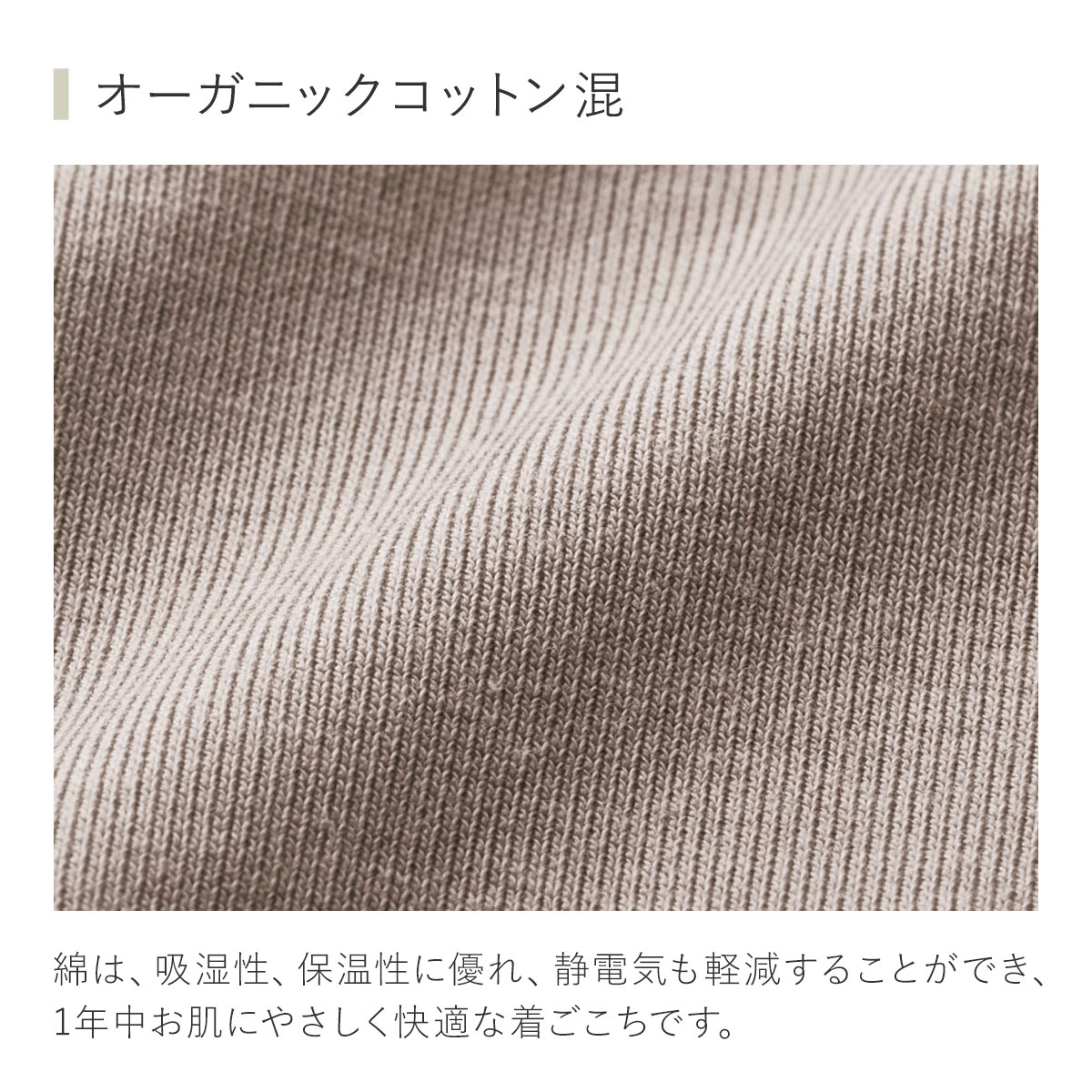専用出品　ホヤ　ラクノーサミントコイン&マチルダ(スプラッシュの、キレイな子) 1月30日(木)☆入荷情報です☆ | NOKO's