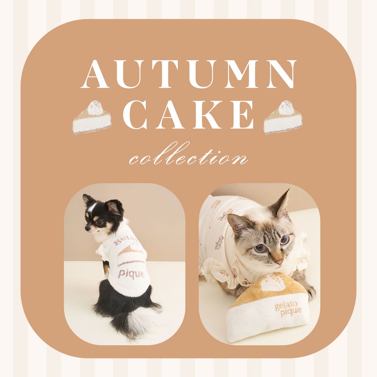 ジェラートピケ CAT&DOG オータムケーキ柄プルオーバー